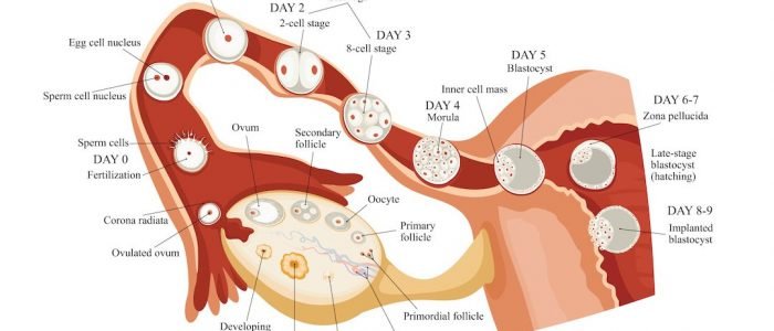 problems with ovarian cysts